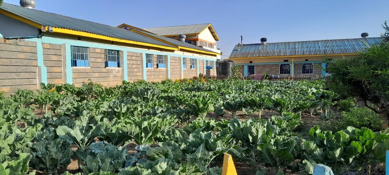 Learners' vegetable garden behind the classroom blocks